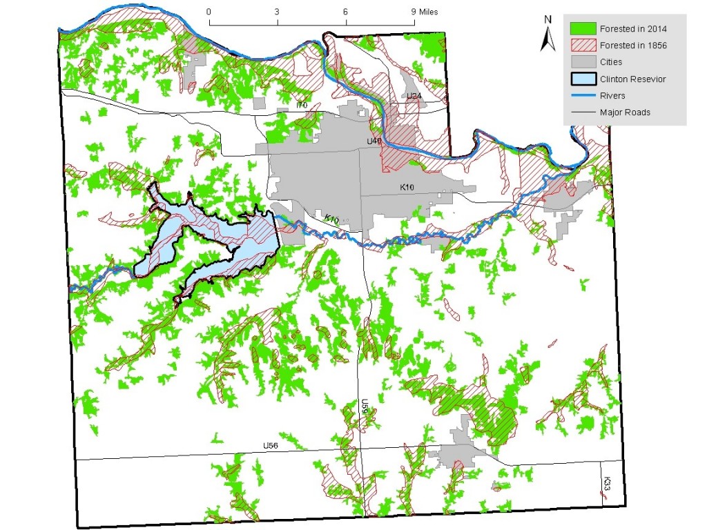 82% of the forested areas seen today are “new growth” forests that have developed in areas once occupied by prairie