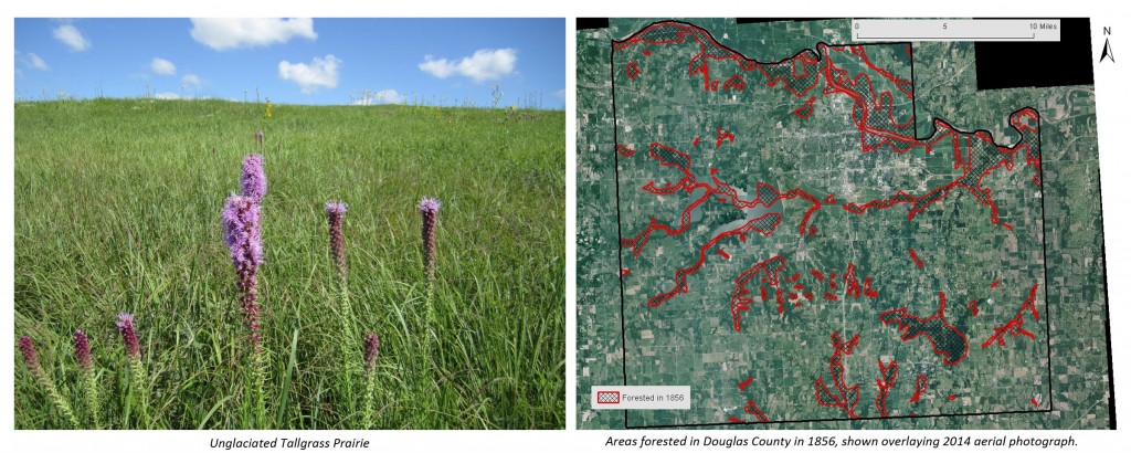 Tallgrass prairie and 1856 forest map of Douglas County.