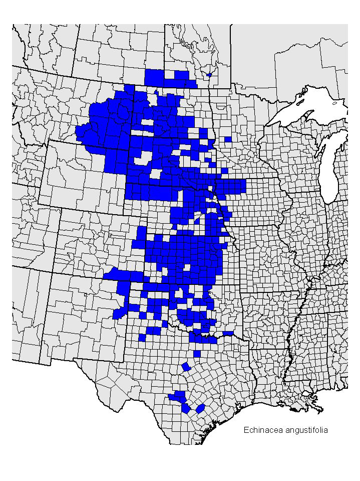 Echinacea angustifolia map