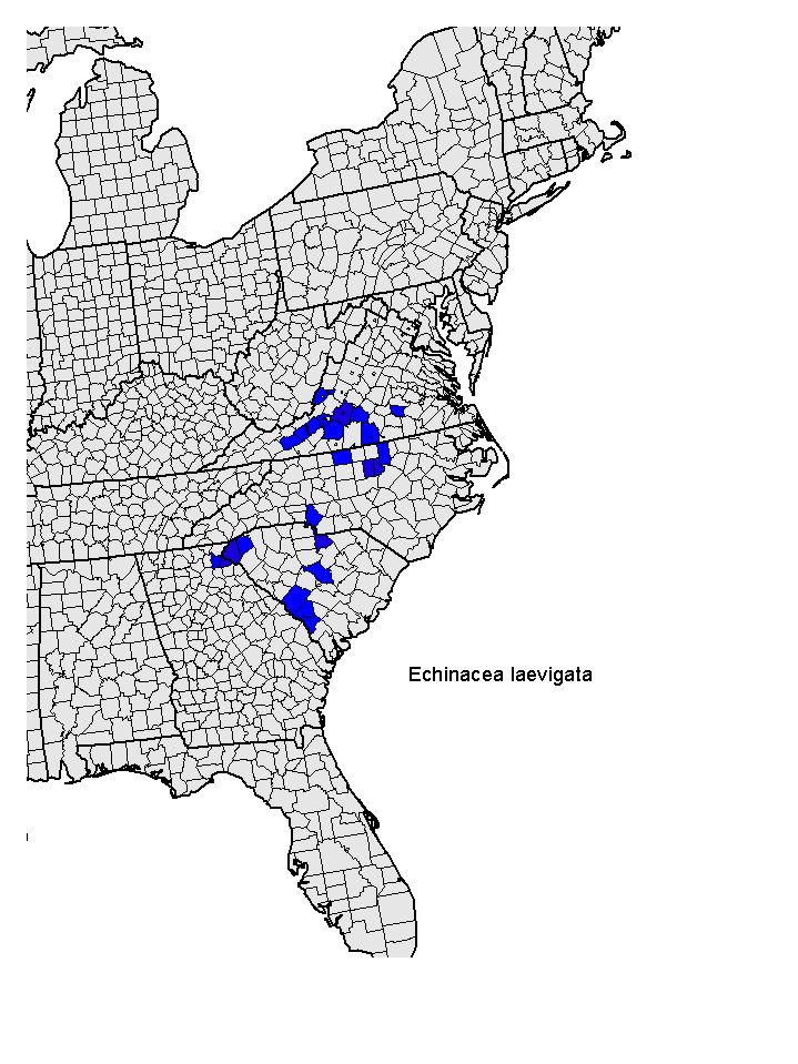 Distribution map for Echinacea laevigata