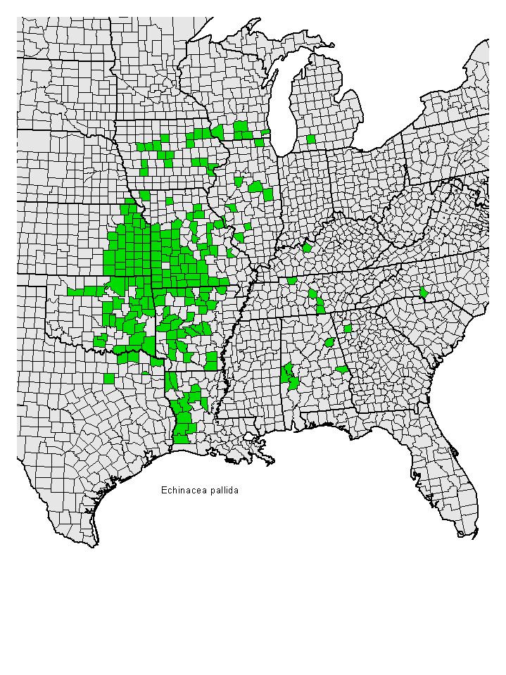 Distribution map for Echinacea pallida