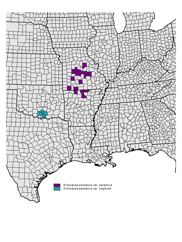 Distribution map for Echinacea paradoxa
