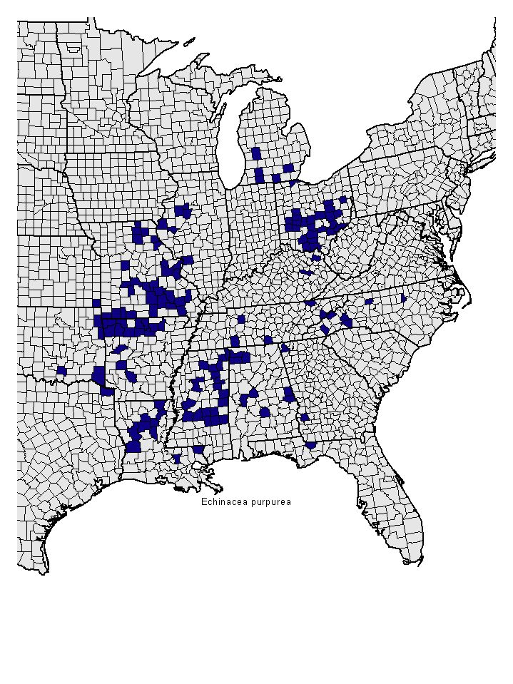 Distribution map for Echinacea purpurea