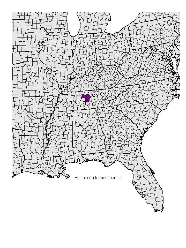 Distribution map for Echinacea tennesseensis